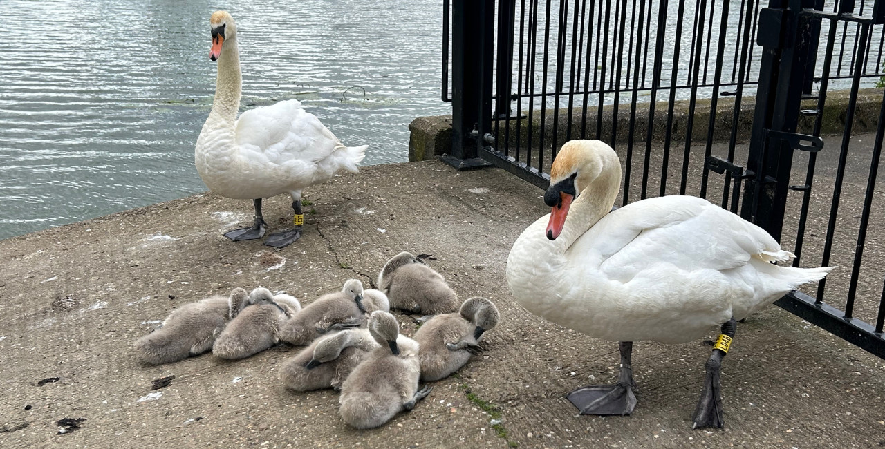 The Brayford Trust